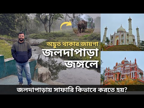 জলদাপাড়ার গল্প | Resort Everest Jaldapara | Salkumar | Jaldapara Jungle Safari | Dooars Tour | EP 2