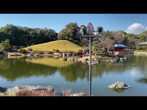 大仙公園 日本庭園 (2022.2.11)