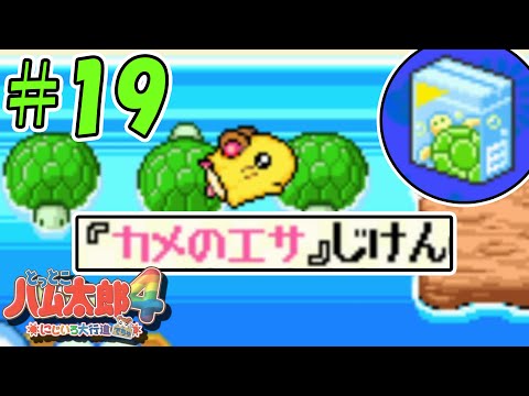 【とっとこハム太郎4】最近のハムスターたちのトレンドは『カメのエサ』です。#19