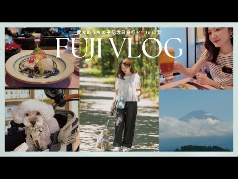 【富士VLOG】やっぱり最高。愛犬と1泊2日の山梨旅行⛰️自然・グルメ・ショッピングを満喫した休日🫧