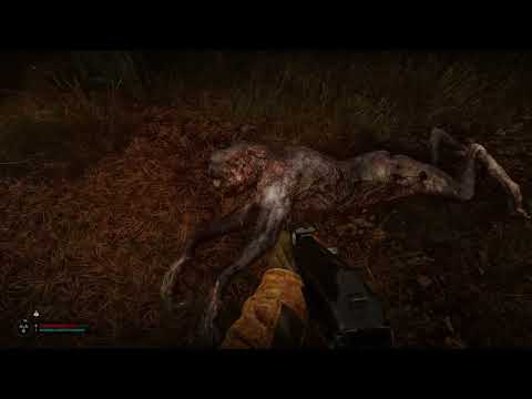 First meeting with new cat mutant Bayun in STALKER 2