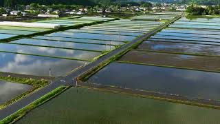 走路禪＿悠湯里庵