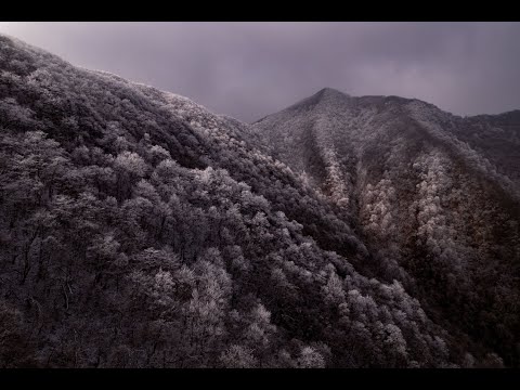 Huangshan Nature Reserve, China