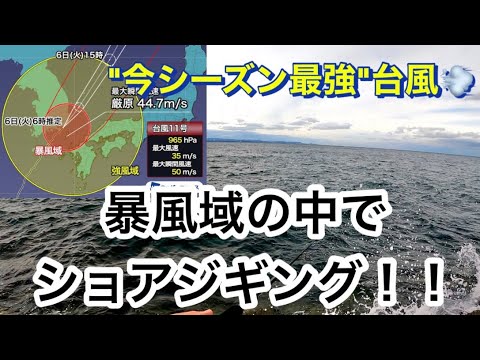 【ショアジギング】大荒れの海で青物連発！！