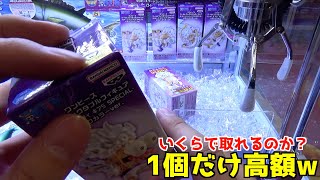 超高額のワーコレが1個だけ確率機に入っていたのですが、設定金額はいくらになっているのか？【クレーンゲーム／UFOキャッチャー】