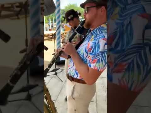 Brett McDonald absolutely CRUSHING the Clarinet Polka... 🤠 #shorts