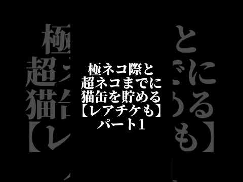 極ネコ際と超ネコ際までに猫缶を貯めるレアチケも#にゃんこ大戦争#猫缶#極ネコ祭#超ネコ際#猫缶貯める