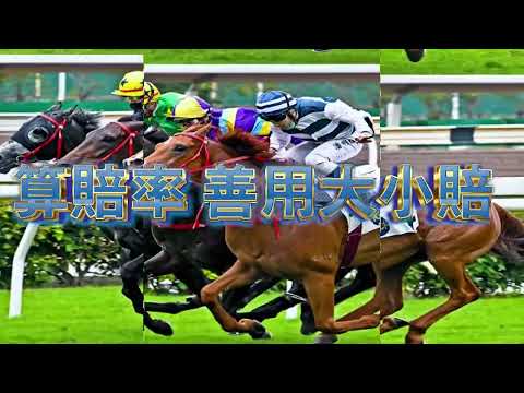 HKcasinoonline 賽馬 心得 | 賭馬教學精選匯總！從入門到進階的完整教學！