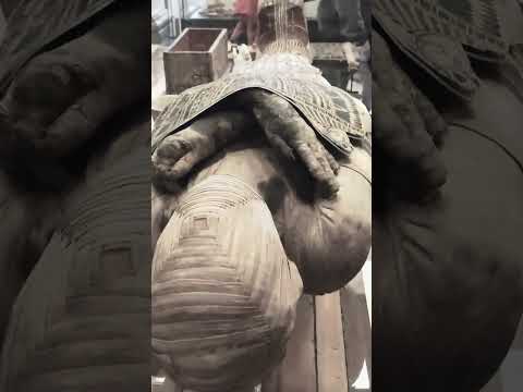 Unveiling Bachiri: The Hidden Secrets of the Louvre’s Enigmatic Mummy 😱#shorts#short#shortvideo