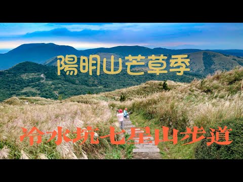 陽明山芒草季│冷水坑七星山步道│大屯山景觀台