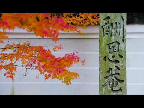 【WEB動画】2017年 秋 オリジナル映像「酬恩庵  一休寺」篇 そうだ 京都、行こう。