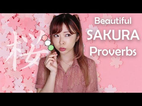 Beautiful Cherry Blossom Sayings in Japanese