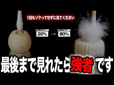 超ASMR  これ最後まで見れたら強者です 【1回もゾクってせずに見てください】