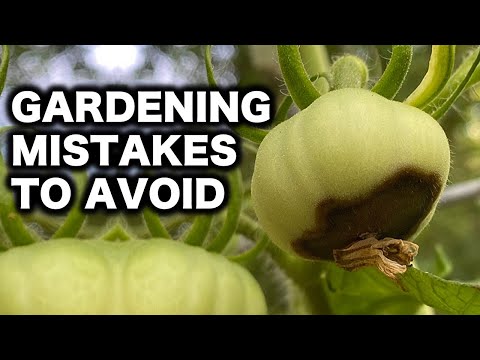 10 Gardening Mistakes That Could Ruin Your Garden - Don't Be a Victim