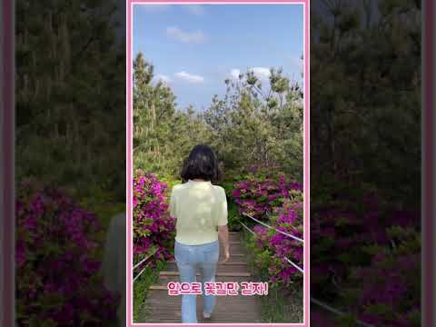 Travel to Jeju Island with Beautiful Nature, South Korea / 다랑쉬오름 #다랑쉬오름 #Shorts