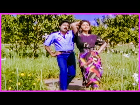 Rajasekhar, Nadhiya Evergreen Superhit Song - Vintha Dongalu Movie Video Songs | Telugu Movie Songs