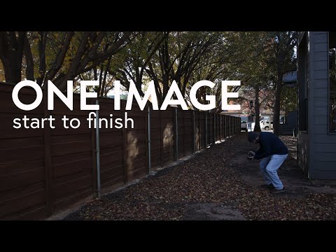 Start to Finish | Abstract Photography of Leaves