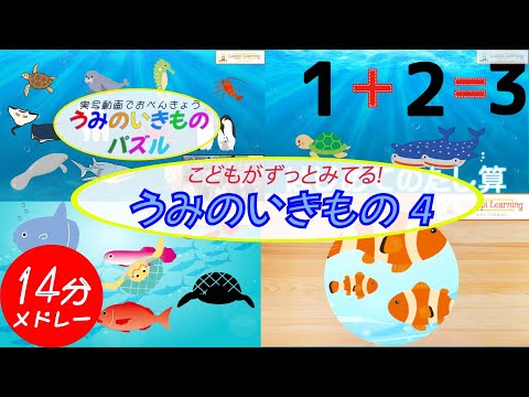 [Japanese] Sea_animals Educational videos Flashcards Live-action videos for baby toddlers kids