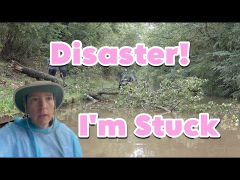 Disaster! Fallen Tree Stops My Progress