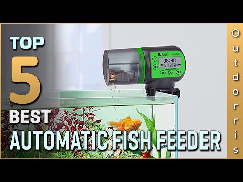 Top 5 Best Automatic Fish Feeders Review in 2023