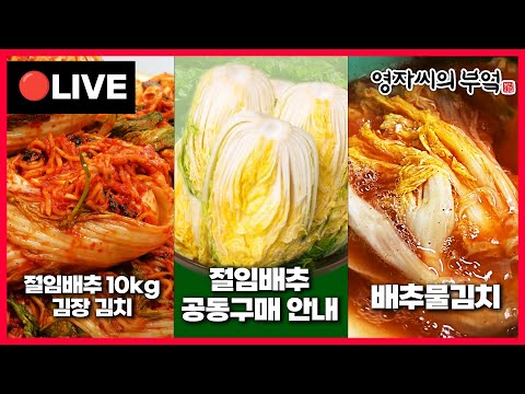 🔴 고품격 요리교실 오후8시!❤️  [절임배추 10kg 김장 김치 자세하게!, 절임배추활용 물김치] 241110(일)