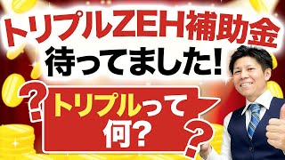 【超速報】「ZEH」「ZEH+」「次世代ZEH+」3つの補助金の受給条件と要注意点