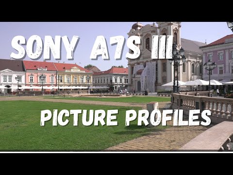 Sony A7S III + Sony 20mm F1.8 G + DJI RSC 2 Gimbal | Picture Profiles