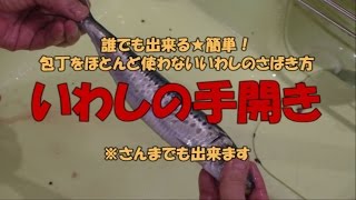 誰でも出来る★簡単！包丁をほとんど使わないいわしのさばき方　いわしの手開き　 ※音声解説付き