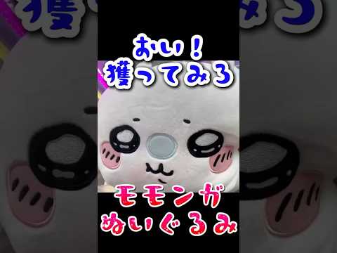 ぬいぐるみが欲しい #モモンガ #ちいかわ #クレーンゲーム #shorts #short #shortvideo #japaneseclawmachine #ufoキャッチャー #ゲームセンター