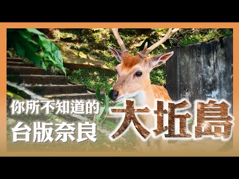 大坵島 全攻略｜你所不知道的台版奈良｜旅遊葉