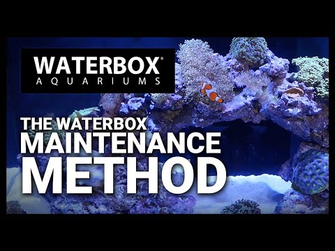 Episode 137 - The Waterbox Method