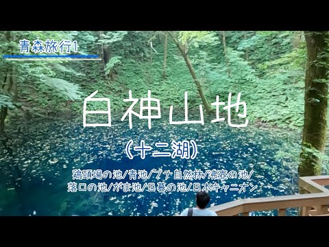 【白神山地（十二湖）】2023年夏。青森県の白神山地・十二湖の散策路を歩きました。【お出かけvlog】