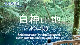 【白神山地（十二湖）】2023年夏。青森県の白神山地・十二湖の散策路を歩きました。【お出かけvlog】