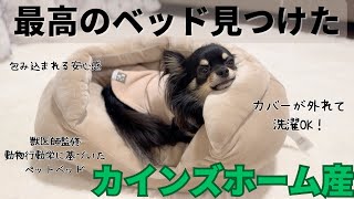 【カインズ】最高のペットベッド見つけたよ🐶