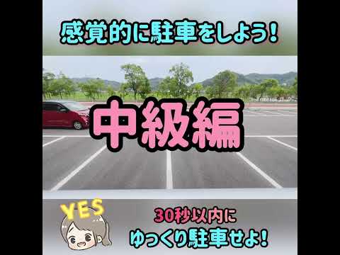 【中級編】30秒で完成！バック駐車練習用　「止まってハンドルはダメ！」って言われたらこれをやってみよう！