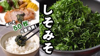 青じそ50枚で「大葉みそ」のレシピ【簡単！おいしい！とまらない！】