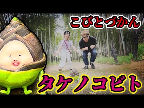 【こびとづかん】タケノコビトを追いかけろ