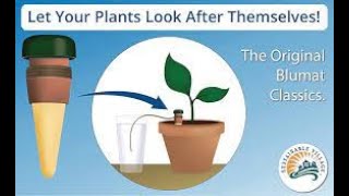 Blumat self watering system for plants 🪴