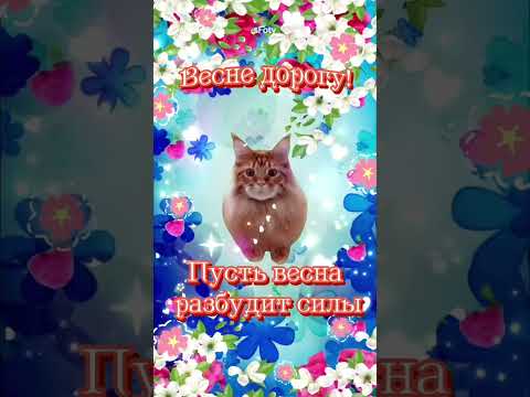 Весенний приветик!