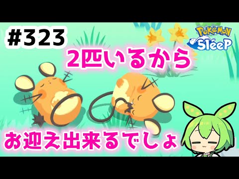 【睡眠リサーチ】＃323『デデンネちゃん2匹いたら、もうお迎えできるよね』【ポケモンスリープ/pokemon sleep】【無課金ゆっくり実況ずんだもん】