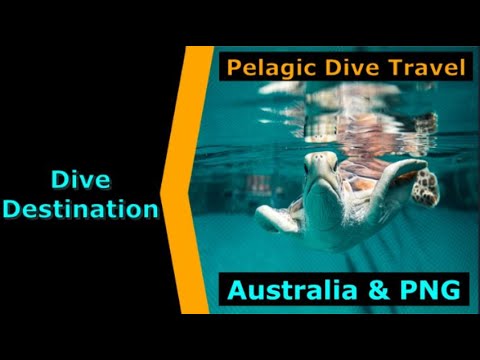 Diving Australia,Pelagic Dive Travel,Destination Spotlight for Scuba.Digital The #1 Online Dive Show