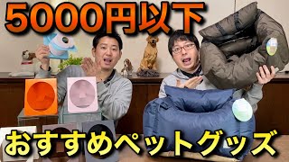 【5000円以下のおすすめペットグッズ紹介】便利なドライブベッド＆お洒落なペーパーホルダー