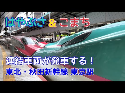 はやぶさ＆こまち　連結車両が発車する！東北・秋田新幹線 東京駅　Hayabusa & Komachi Consolidated vehicle departs!