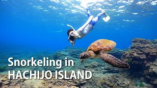 Snorkeling & Freediving in Hachijo Island, Japan｜八丈島でダイビング