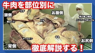 【これであなたもお肉マイスター】半身の牛から部位別牛肉徹底解説！