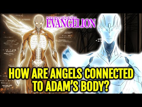 First Angel Adam Anatomy - The Creation of Angels from Adam, the Mechanics Behind Their Souls