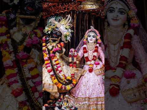 (Radhe Krishna) Mayapur 🙏