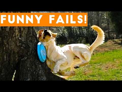 FUNNIEST Pets of 2024 😂 Best Funniest Animal Videos