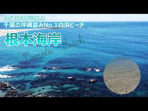 【沖縄？】千葉の根本海岸【シュノーケル】