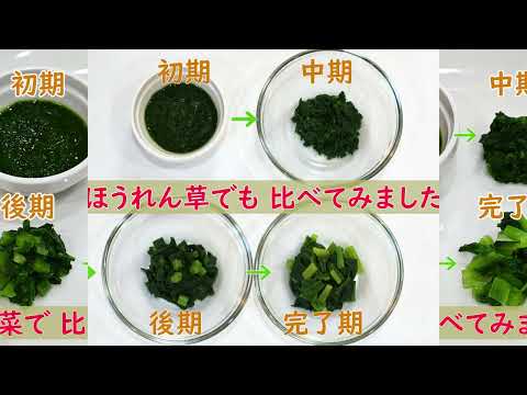 【離乳食】小松菜・ほうれん草の使い方（初期～完了期）